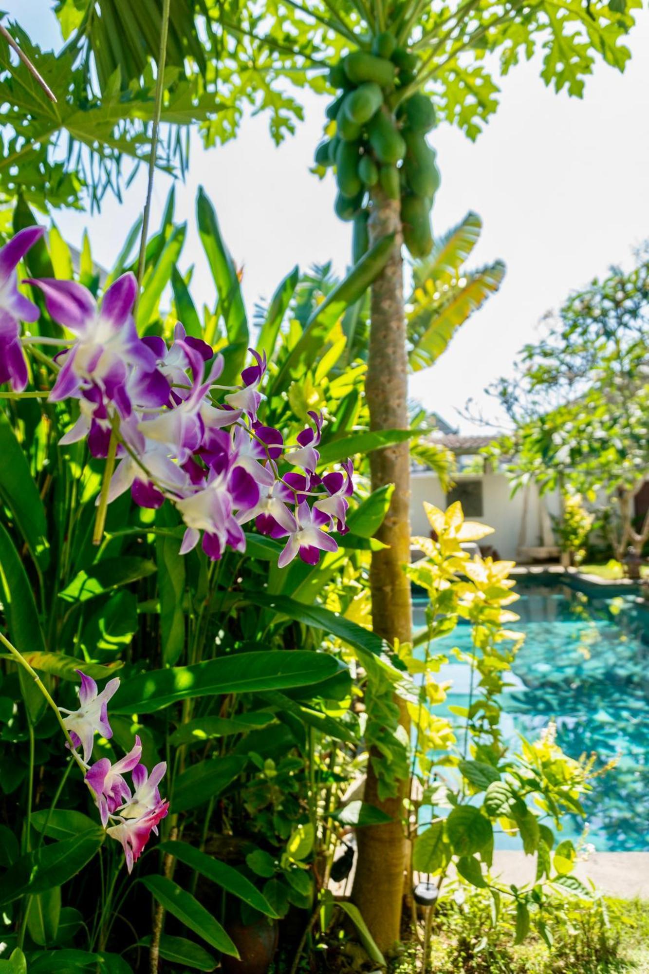 Damai Uluwatu Hotell Eksteriør bilde